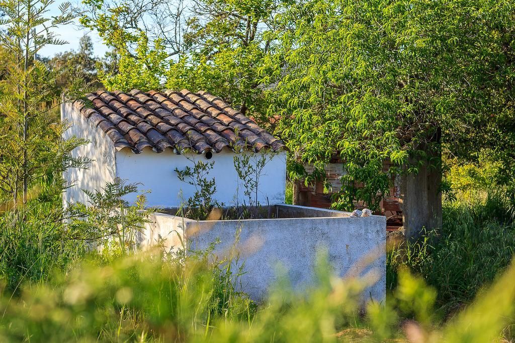 The New Laziness Guest House Sao Luis Exterior photo